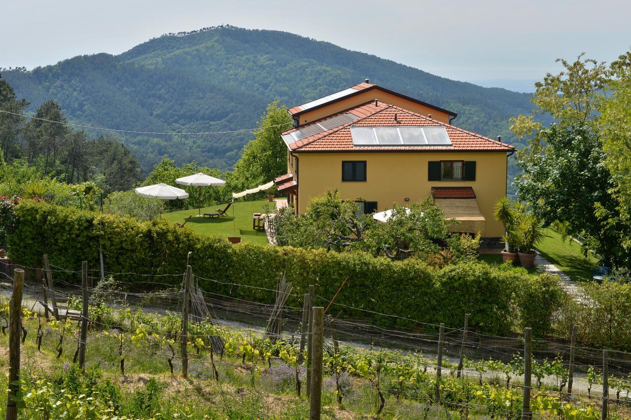 Il Laghello Di Amina Villa Framura Eksteriør bilde