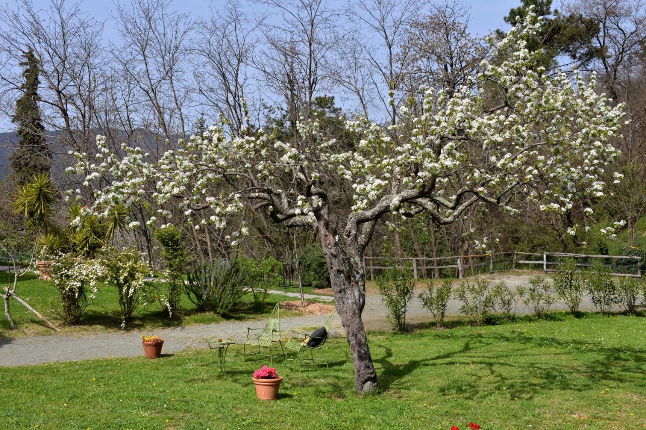 Il Laghello Di Amina Villa Framura Eksteriør bilde