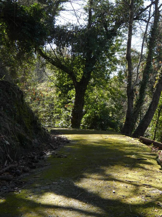 Il Laghello Di Amina Villa Framura Eksteriør bilde